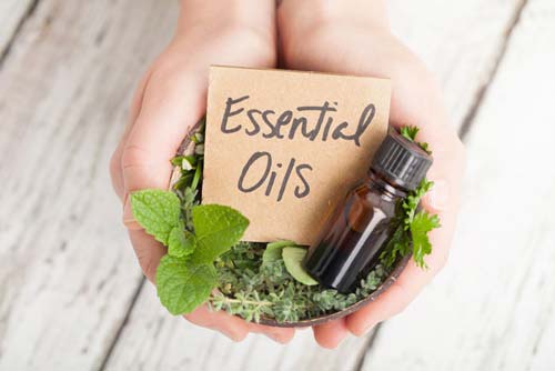 Woman's hands holding a sign that says "Essential Oils" with some plants and herbs