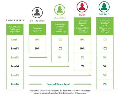 It Works management Compensation Plan chart