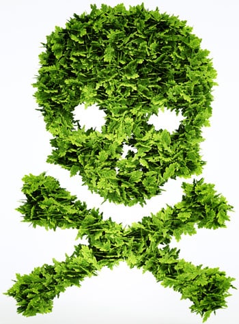 Grass skull and crossbones