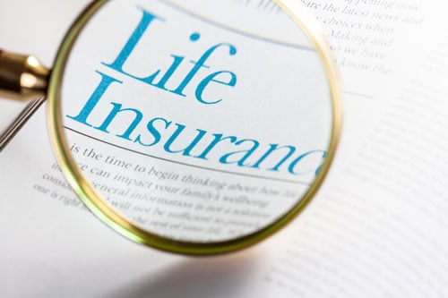 Close look at an insurance policy with a magnifying glass