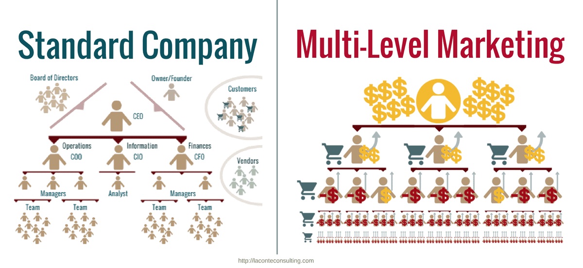 MLM vs regular company