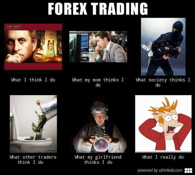 Forex trading meme