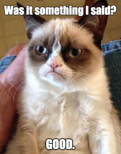 Grumpy Cat