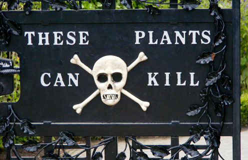 plants can kill sign