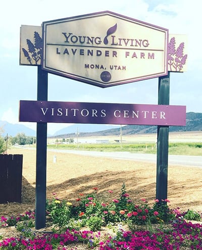 Young Living Lavender Farm sign