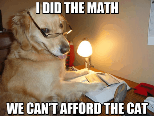 math dog