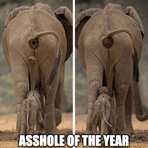 asshole of the year