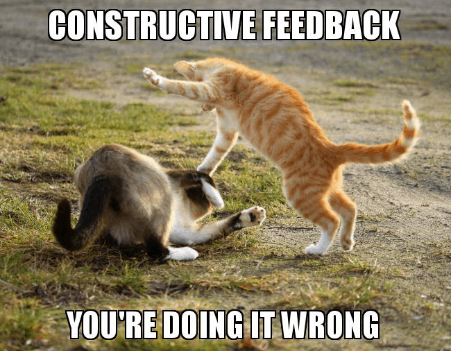 constructive feedback