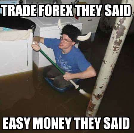 Forex meme