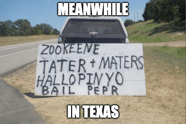 meanwhile in Texas