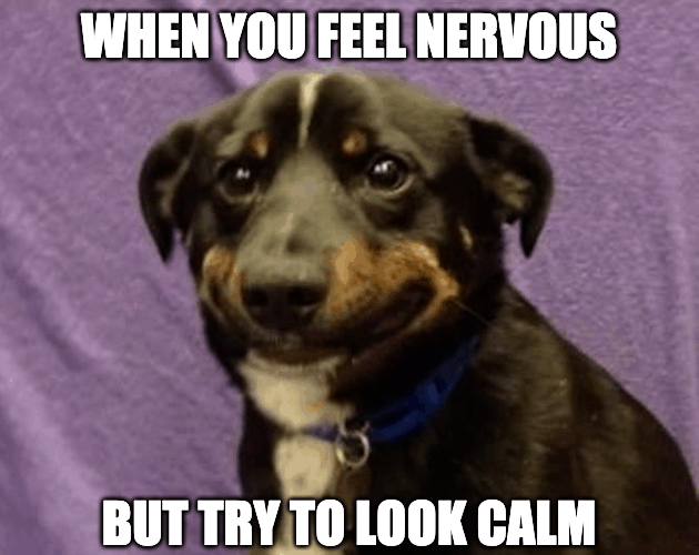 nervous dog