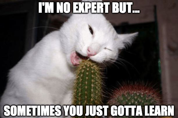 no expert