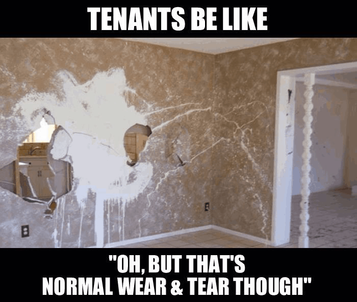 normal wear and tear